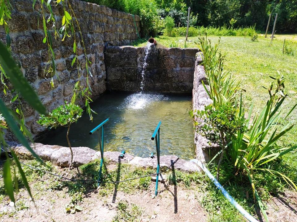 مبيت وإفطار سانتا كومبا داو Casas Vale Martinho المظهر الخارجي الصورة